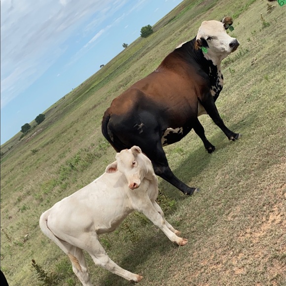 Just A Little About Me - Picture 5 of 5